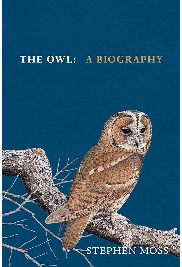Owls of the World: A Photographic Guide: Amazon.co.uk: Mikkola